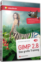 gimp 2.8 das große Training